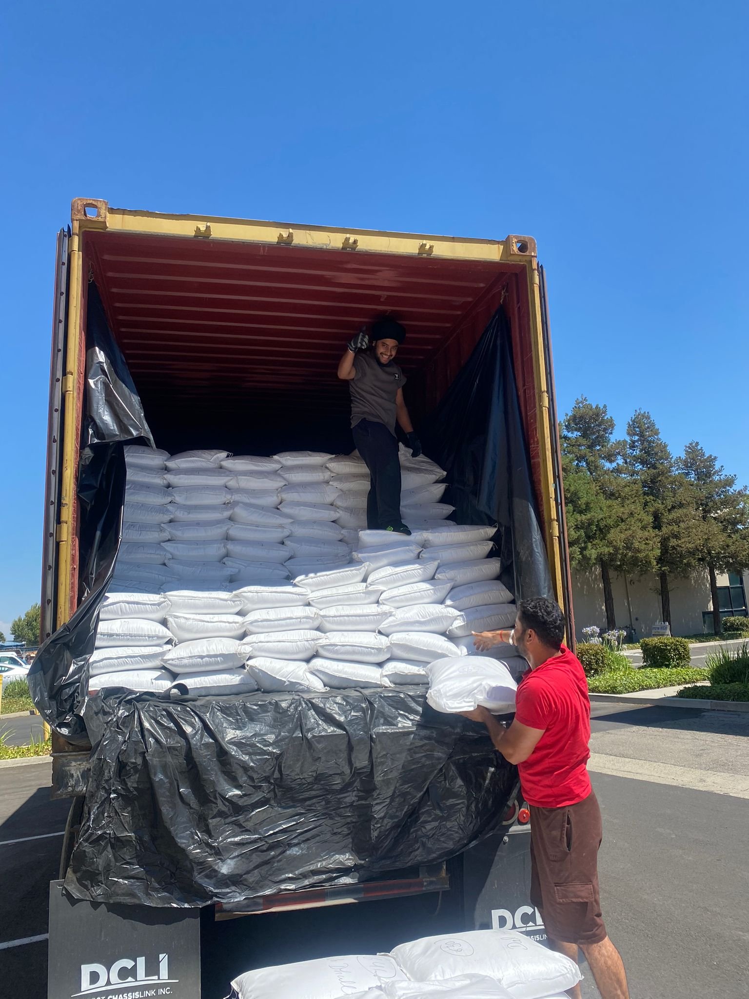 Pulse Container USA